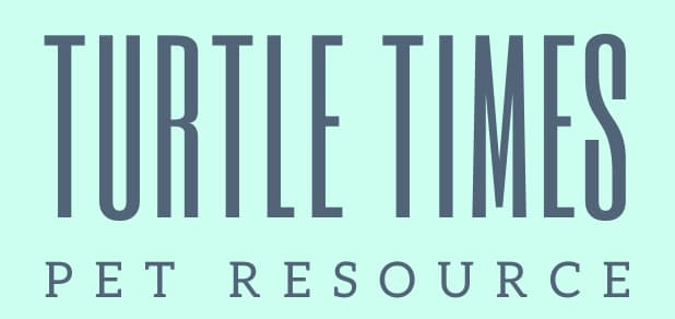 Turtle Times logo