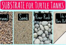 substrate for tanks