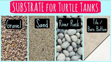 substrate for tanks