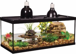 What Temperature Should a Turtle Tank Be  