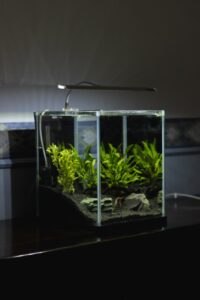 New Empty Aquarium