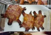 Redneck Turtle Burgers