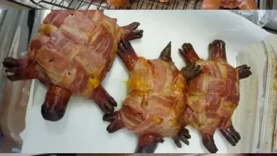 Redneck Turtle Burgers