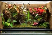 Building a Paludarium Tank