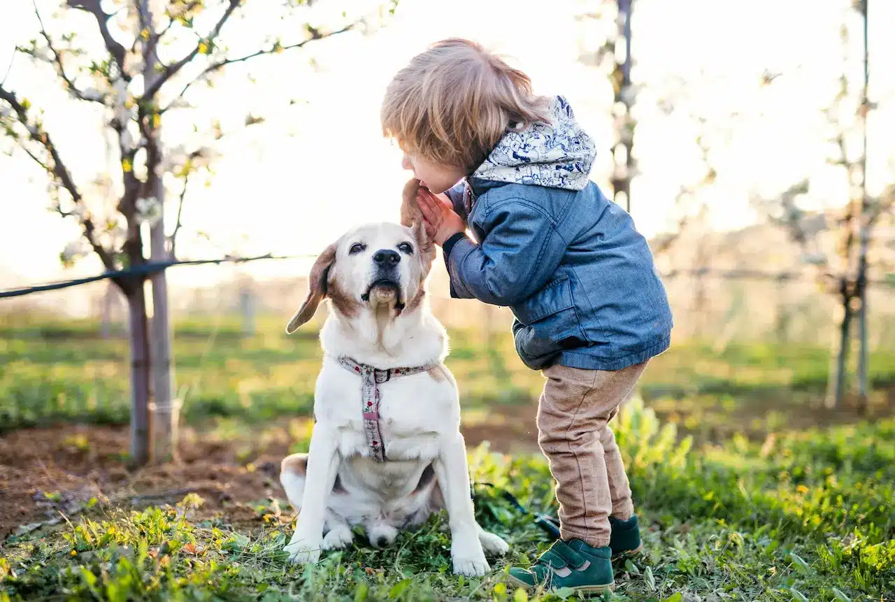 Child Playing With A Dog