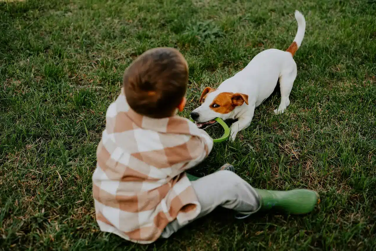 What Makes Pet Ownership So Rewarding